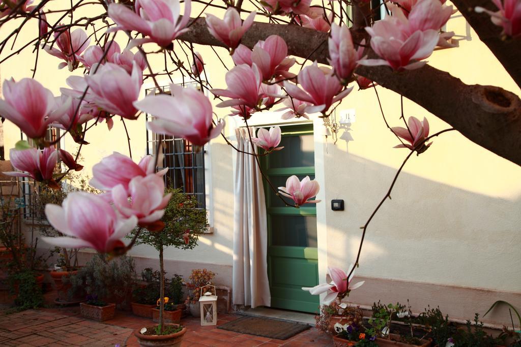 B&B La Magnolia Ostiglia Exterior foto