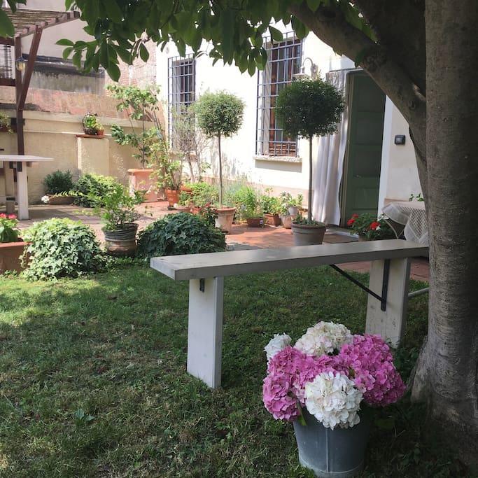 B&B La Magnolia Ostiglia Exterior foto